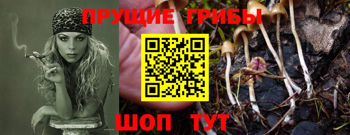 Псилоцибиновые грибы ЛСД  Псилоцибиновые грибы Psilocybe  Стрежевой  Вход с VPN 